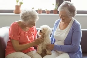 Independent Living-1